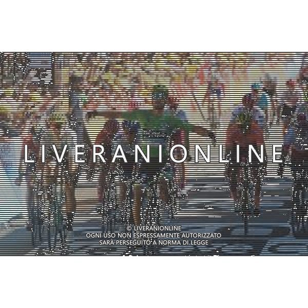 10-07-2019 Tour De France; Tappa 05 Saint Die De Vosges - Colmar; 2019, Bora - Hansgrohe; Sagan, Peter; Colmar; ©SIROTTI / AGENZIA ALDO LIVERANI SAS