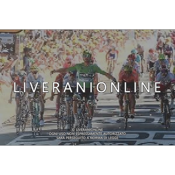 10-07-2019 Tour De France; Tappa 05 Saint Die De Vosges - Colmar; 2019, Bora - Hansgrohe; 2019, Mitchelton - Scott; 2019, Jumbo - Visma; 2019, Ccc Team; 2019, Cofidis Solutions Credits; Sagan, Peter; Trentin, Matteo; Van Aert, Wout; Van Avermaet, Greg; Simon, Julien; Colmar; ©SIROTTI / AGENZIA ALDO LIVERANI SAS