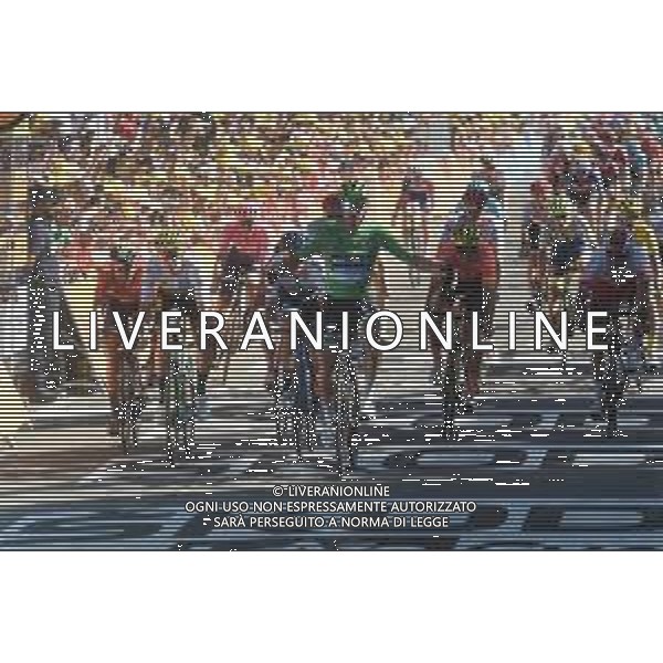 10-07-2019 Tour De France; Tappa 05 Saint Die De Vosges - Colmar; 2019, Bora - Hansgrohe; 2019, Mitchelton - Scott; 2019, Jumbo - Visma; 2019, Ccc Team; 2019, Cofidis Solutions Credits; Sagan, Peter; Trentin, Matteo; Van Aert, Wout; Van Avermaet, Greg; Simon, Julien; Colmar; ©SIROTTI / AGENZIA ALDO LIVERANI SAS