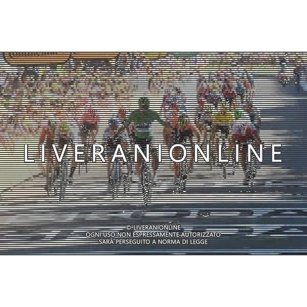 10-07-2019 Tour De France; Tappa 05 Saint Die De Vosges - Colmar; 2019, Bora - Hansgrohe; 2019, Mitchelton - Scott; 2019, Jumbo - Visma; 2019, Ccc Team; 2019, Cofidis Solutions Credits; Sagan, Peter; Trentin, Matteo; Van Aert, Wout; Van Avermaet, Greg; Simon, Julien; Colmar; ©SIROTTI / AGENZIA ALDO LIVERANI SAS