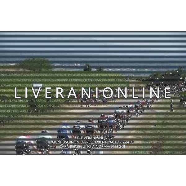 10-07-2019 Tour De France; Tappa 05 Saint Die De Vosges - Colmar; Cote Du Haut Koenigsbourg; ©SIROTTI / AGENZIA ALDO LIVERANI SAS