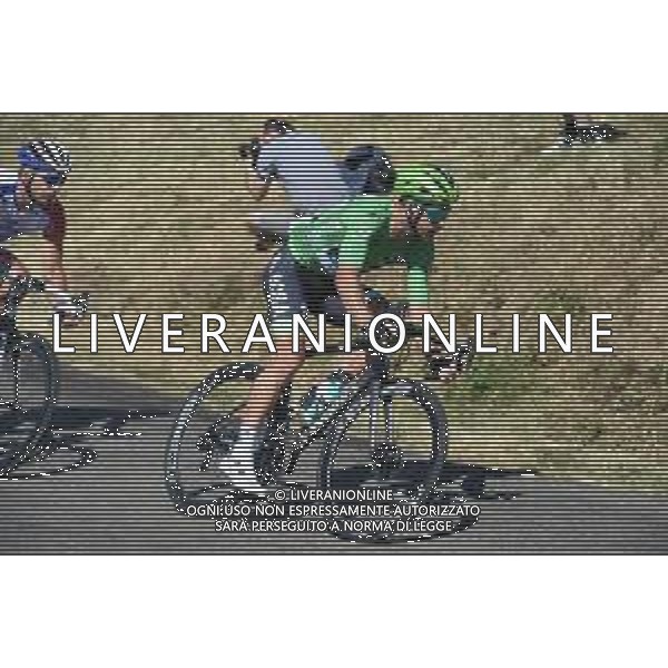 10-07-2019 Tour De France; Tappa 05 Saint Die De Vosges - Colmar; 2019, Bora - Hansgrohe; Sagan, Peter; Cote Du Haut Koenigsbourg; ©SIROTTI / AGENZIA ALDO LIVERANI SAS