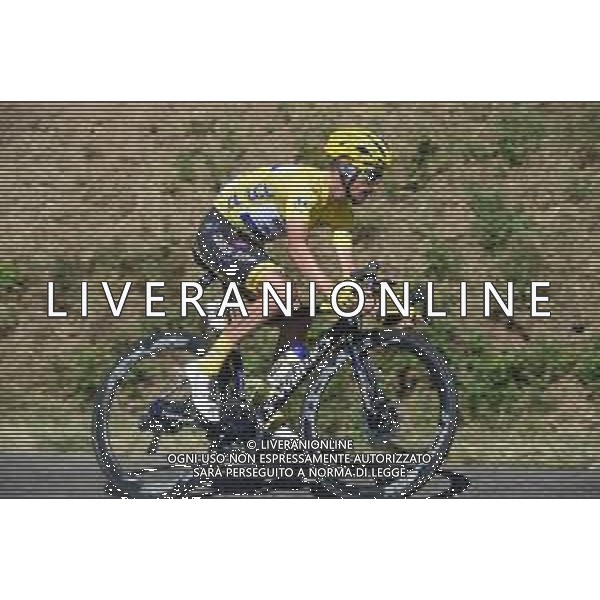 10-07-2019 Tour De France; Tappa 05 Saint Die De Vosges - Colmar; 2019, Deceunick - Quickstep; Alaphilippe, Julian; Cote Du Haut Koenigsbourg; ©SIROTTI / AGENZIA ALDO LIVERANI SAS