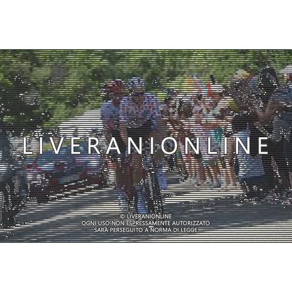 10-07-2019 Tour De France; Tappa 05 Saint Die De Vosges - Colmar; 2019, Lotto - Soudal; Wellens, Tim; Cote De Grendelbruch; ©SIROTTI / AGENZIA ALDO LIVERANI SAS