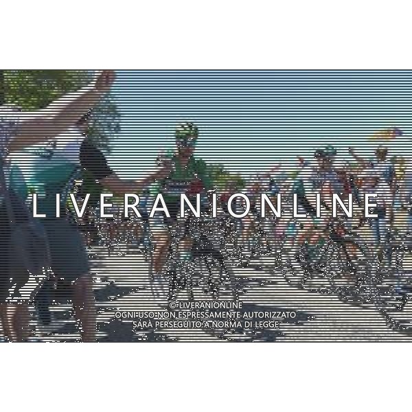 10-07-2019 Tour De France; Tappa 05 Saint Die De Vosges - Colmar; 2019, Bora - Hansgrohe; Sagan, Peter; Cote De Grendelbruch; ©SIROTTI / AGENZIA ALDO LIVERANI SAS