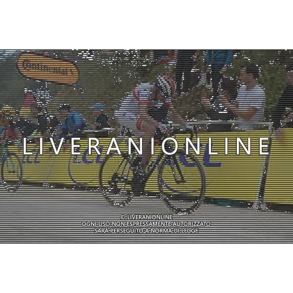 11-07-2019 Tour De France; Tappa 06 Mulhouse - La Planche Des Belles Filles; 2019, Uae - Emirates; Martin, Daniel; La Planche Des Belles Filles; ©SIROTTI / AGENZIA ALDO LIVERANI SAS