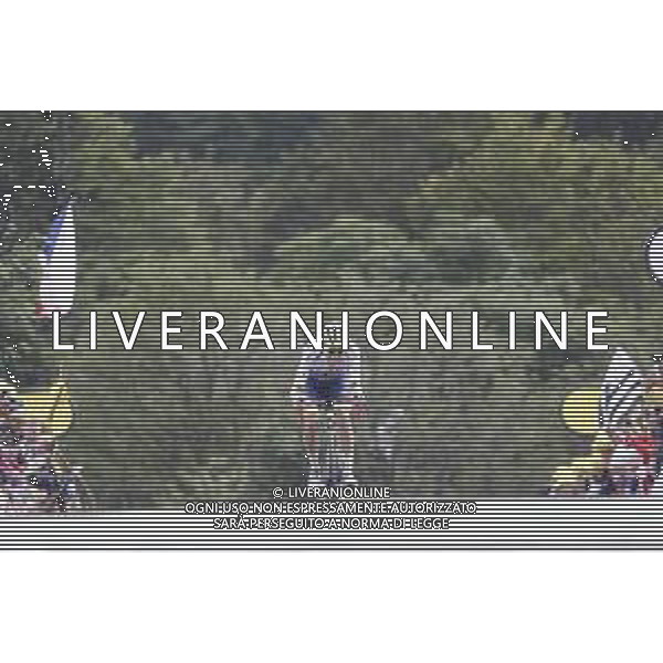 11-07-2019 Tour De France; Tappa 06 Mulhouse - La Planche Des Belles Filles; 2019, Wanty - Gobert; Meurisse, Xandro; La Planche Des Belles Filles; ©SIROTTI / AGENZIA ALDO LIVERANI SAS