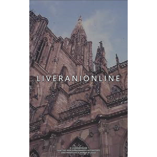 FRANCIA-STRASBURGO NELLA FOTO STRASBURGO CATTEDRALE DI NOTRE DAME AG ALDO LIVERANI SAS 