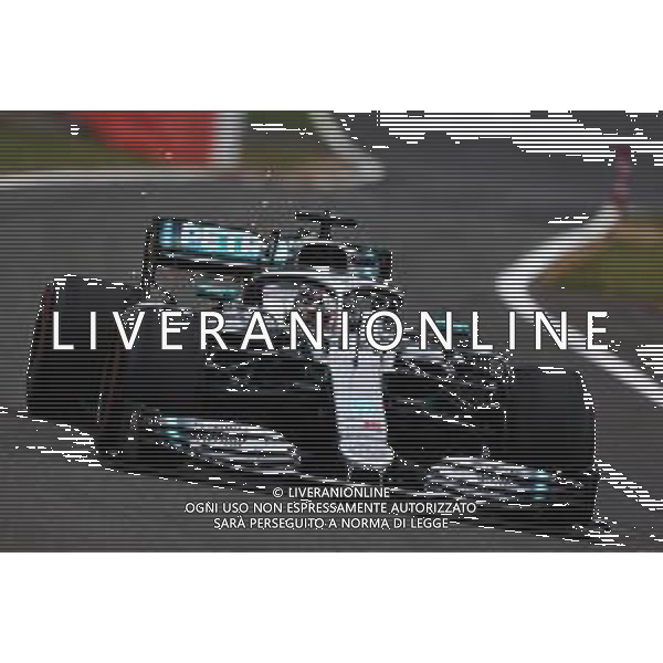 Lewis Hamilton (GBR) Mercedes AMG F1 W10. 13.07.2019. Formula 1 World Championship, Rd 10, British Grand Prix, Silverstone, England, Qualifying Day. / AGENZIA ALDO LIVERANI SAS - ITALY ONLY EDITORIAL USE ONLY