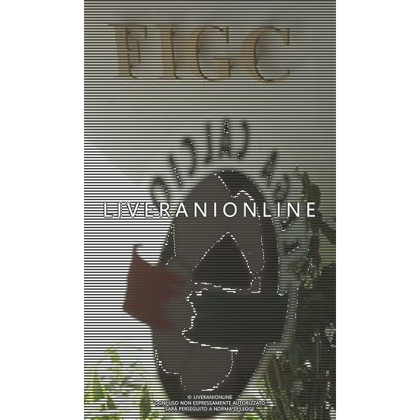 MILANO 8-6-05 VIA ROSELLINI 4 RIUNIONE LEGA CALCIO SU PROBLEMA MUTUALITA\' NELLA FOTO: PH: CAPRA/LIVERANI 