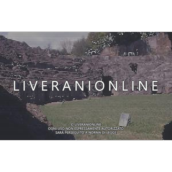 SUTRI COMUNE DI VITERBO NELLA FOTO ANFITEATRO ROMANO AG ALDO LIVERANI SAS