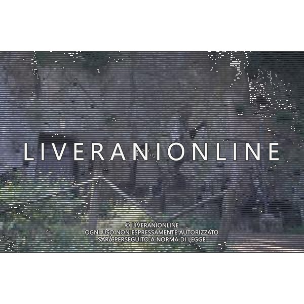 SUTRI COMUNE DI VITERBO NELLA FOTO CHIESA MADONNA DEL PARTO AG ALDO LIVERANI SAS