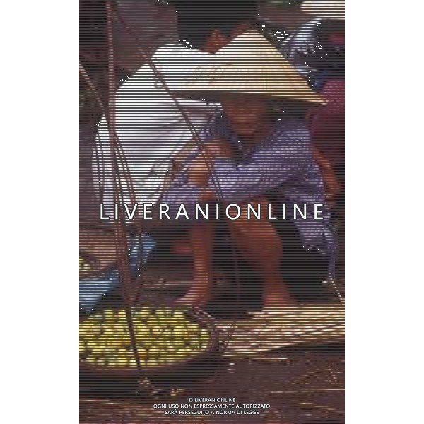 Il Vietnam è un Paese del sud-est asiatico rinomato per le spiagge, i fiumi, le pagode buddiste e le città piene di vita. La capitale Hanoi rende omaggio all\'iconico leader dell\'epoca comunista Ho Chi Minh con un enorme mausoleo in marmo. ag aldol iverani sas