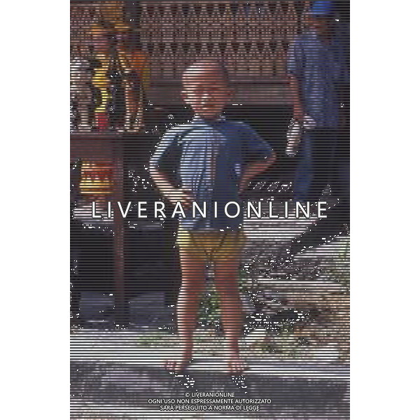 Il Vietnam è un Paese del sud-est asiatico rinomato per le spiagge, i fiumi, le pagode buddiste e le città piene di vita. La capitale Hanoi rende omaggio all\'iconico leader dell\'epoca comunista Ho Chi Minh con un enorme mausoleo in marmo. ag aldol iverani sas