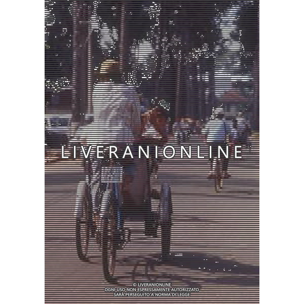 Il Vietnam è un Paese del sud-est asiatico rinomato per le spiagge, i fiumi, le pagode buddiste e le città piene di vita. La capitale Hanoi rende omaggio all\'iconico leader dell\'epoca comunista Ho Chi Minh con un enorme mausoleo in marmo. ag aldol iverani sas