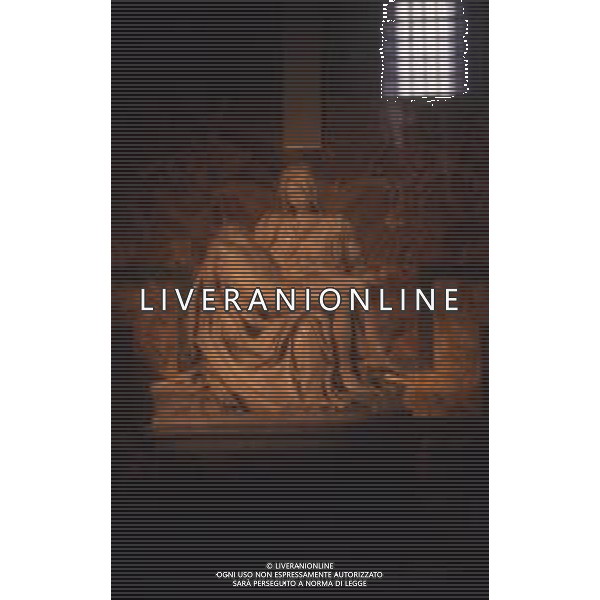 ROMA-PANORAMICHE CITTA\' NELLA FOTO La Pietà vaticana è una scultura in marmo realizzata da Michelangelo Buonarroti e conservata nella basilica di San Pietro in Vaticano. AG ALDO LIVERANI SAS