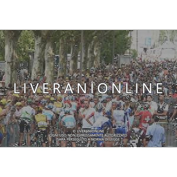 24-07-2019 Tour De France; Tappa 17 Pont Du Gard - Gap; Gap; ©SIROTTI / AGENZIA ALDO LIVERANI SAS