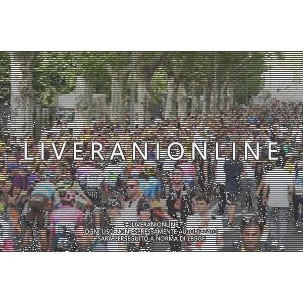 24-07-2019 Tour De France; Tappa 17 Pont Du Gard - Gap; Gap; ©SIROTTI / AGENZIA ALDO LIVERANI SAS