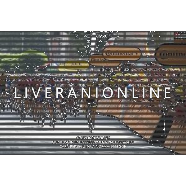 24-07-2019 Tour De France; Tappa 17 Pont Du Gard - Gap; 2019, Deceunick - Quickstep; Alaphilippe, Julian; Devenyns, Dries; Gap; ©SIROTTI / AGENZIA ALDO LIVERANI SAS