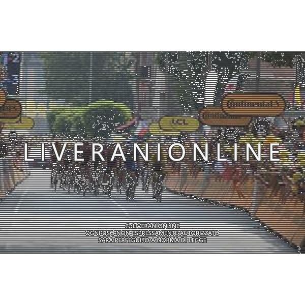 24-07-2019 Tour De France; Tappa 17 Pont Du Gard - Gap; 2019, Deceunick - Quickstep; Alaphilippe, Julian; Devenyns, Dries; Gap; ©SIROTTI / AGENZIA ALDO LIVERANI SAS