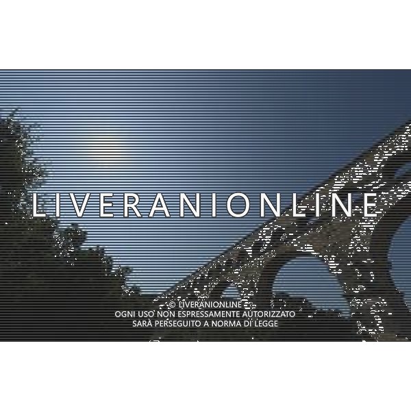 24-07-2019 Tour De France; Tappa 17 Pont Du Gard - Gap; Pont Du Gard; ©SIROTTI / AGENZIA ALDO LIVERANI SAS