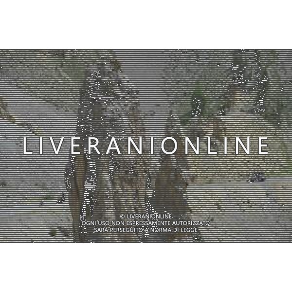 25-07-2019 Tour De France; Tappa 18 Embrun - Valloire; 2019, Trek - Segafredo; Bernard, Julien; Izoard; - Il Colle dell\'Izoard valico alpino delle Alte Alpi francesi, al centro del massiccio del Queyras nelle Alpi Cozie - Francia. ©SIROTTI / AGENZIA ALDO LIVERANI SAS