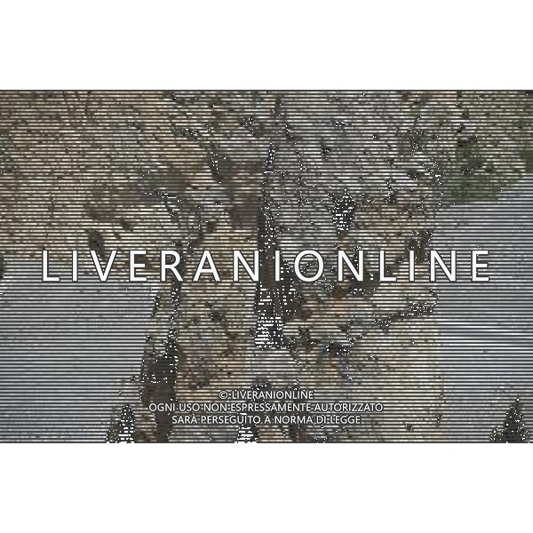 25-07-2019 Tour De France; Tappa 18 Embrun - Valloire; Izoard; - Il Colle dell\'Izoard valico alpino delle Alte Alpi francesi, al centro del massiccio del Queyras nelle Alpi Cozie - Francia. ©SIROTTI / AGENZIA ALDO LIVERANI SAS