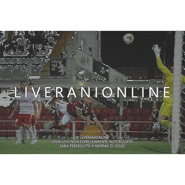Alessandria 25.07.2019 Stadio Moccagatta Torino vs Debrecen secondo turno qualificazioni Europa League 2019/2020 ©Viganti/Agenzia Aldo Liverani Nella foto: il gol di simone zaza / AGENZIA ALDO LIVERANI SAS