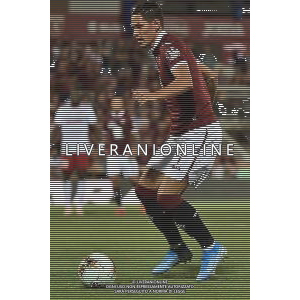 Alessandria 25-07-2019 Stadio Giuseppe Moccagatta UEFA Europa League 2° turno preliminare - gara di andata Torino (ITA) vs Debrecen (HUN) nella foto Sasa Lukic (Torino) foto Roberto Garavaglia - ag. Aldo Liverani sas