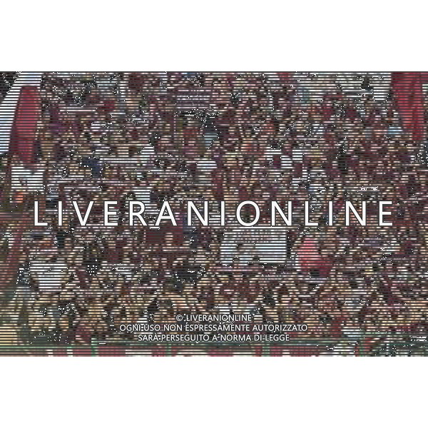 Alessandria 25-07-2019 Stadio Giuseppe Moccagatta UEFA Europa League 2° turno preliminare - gara di andata Torino (ITA) vs Debrecen (HUN) nella foto tifosi del Torino in gradinata nord foto Roberto Garavaglia - ag. Aldo Liverani sas