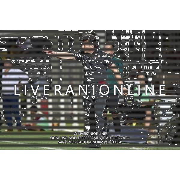 Alessandria 25-07-2019 Stadio Giuseppe Moccagatta UEFA Europa League 2° turno preliminare - gara di andata Torino (ITA) vs Debrecen (HUN) nella foto Walter Mazzarri allenatore Torino foto Roberto Garavaglia - ag. Aldo Liverani sas