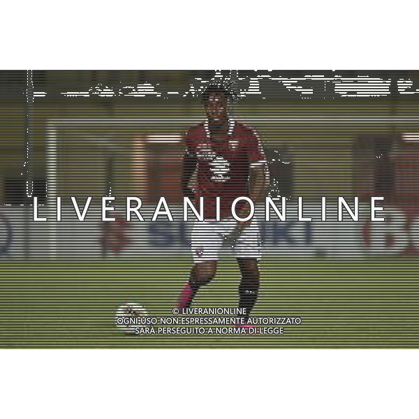 Alessandria 25-07-2019 Stadio Giuseppe Moccagatta UEFA Europa League 2° turno preliminare - gara di andata Torino (ITA) vs Debrecen (HUN) nella foto Soualiho Meite (Torino) foto Roberto Garavaglia - ag. Aldo Liverani sas