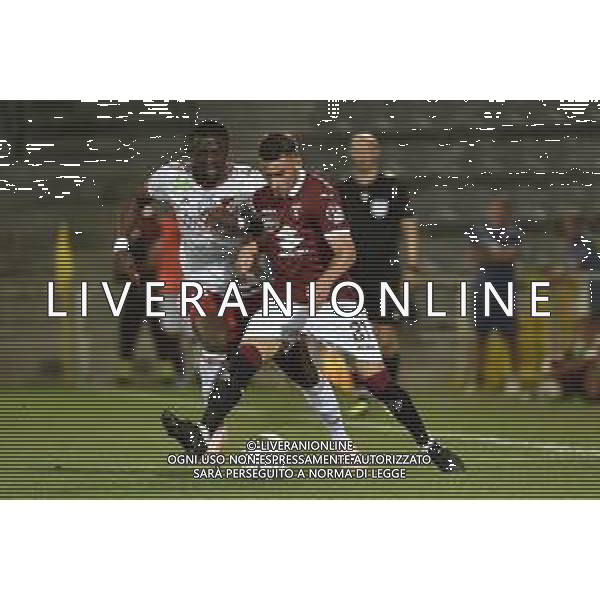 Alessandria 25-07-2019 Stadio Giuseppe Moccagatta UEFA Europa League 2° turno preliminare - gara di andata Torino (ITA) vs Debrecen (HUN) nella foto Alejandro Berenguer (Torino) foto Roberto Garavaglia - ag. Aldo Liverani sas