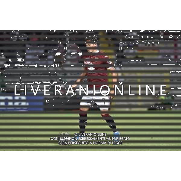Alessandria 25-07-2019 Stadio Giuseppe Moccagatta UEFA Europa League 2° turno preliminare - gara di andata Torino (ITA) vs Debrecen (HUN) nella foto Sasa Lukic (Torino) foto Roberto Garavaglia - ag. Aldo Liverani sas