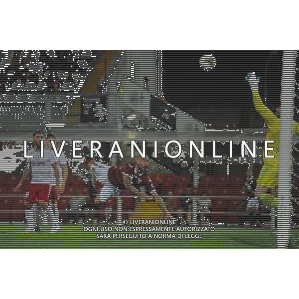 Alessandria 25.07.2019 Stadio Moccagatta Torino vs Debrecen secondo turno qualificazioni Europa League 2019/2020 ©Viganti/Agenzia Aldo Liverani Nella foto: gol simone zaza