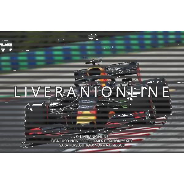 Max Verstappen (NLD) Red Bull Racing RB15. 02.08.2019. Formula 1 World Championship, Rd 12, Hungarian Grand Prix, Budapest, Hungary, Practice Day. AG ALDO LIVERANI SAS-ONLY ITALY