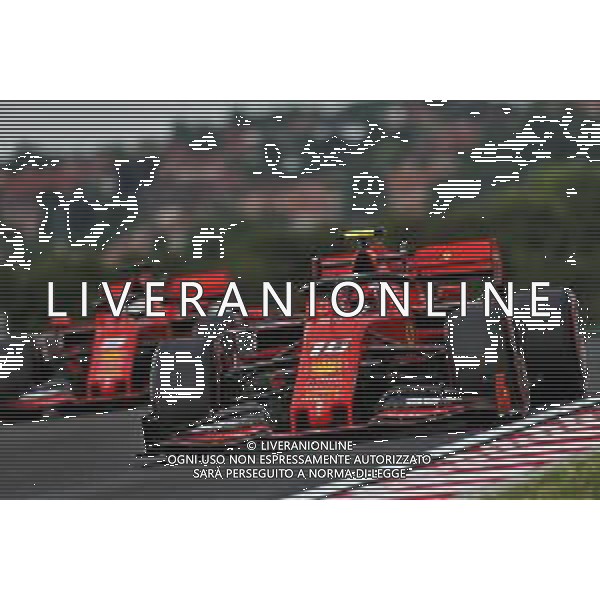 Charles Leclerc (MON) Ferrari SF90 and Sebastian Vettel (GER) Ferrari SF90. 02.08.2019. Formula 1 World Championship, Rd 12, Hungarian Grand Prix, Budapest, Hungary, Practice Day. AG ALDO LIVERANI SAS-ONLY ITALY