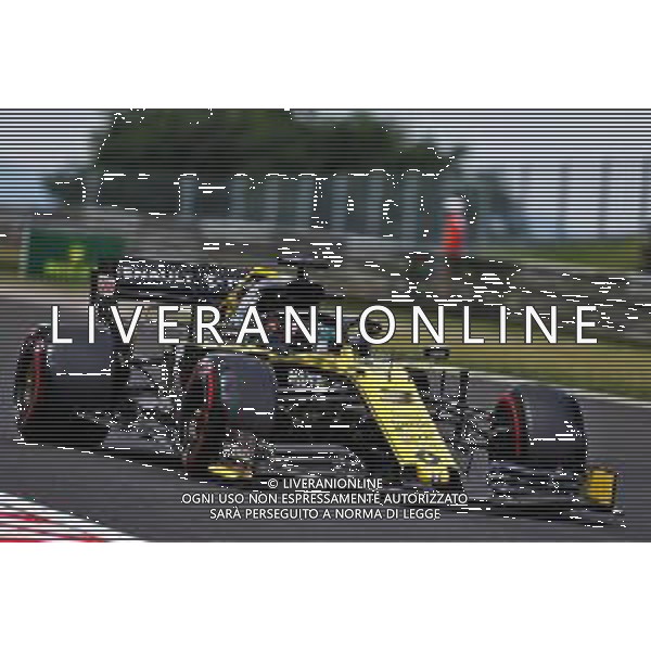 Daniel Ricciardo (AUS) Renault F1 Team RS19. 03.08.2019. Formula 1 World Championship, Rd 12, Hungarian Grand Prix, Budapest, Hungary, Qualifying Day. AG ALDOLIVERANI SAS-ONLY ITALY