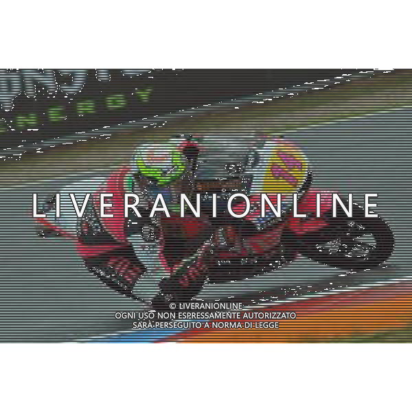 MOTOMONDIALE,PROVE LIBERE, QUALIFICHE, GP DELLA REPUBBLICA CECA, BRNO, 03-08-2019 NELLA FOTO: TONY ARBOLINO ©IEMMI / AGENZIA ALDO LIVERANI SAS