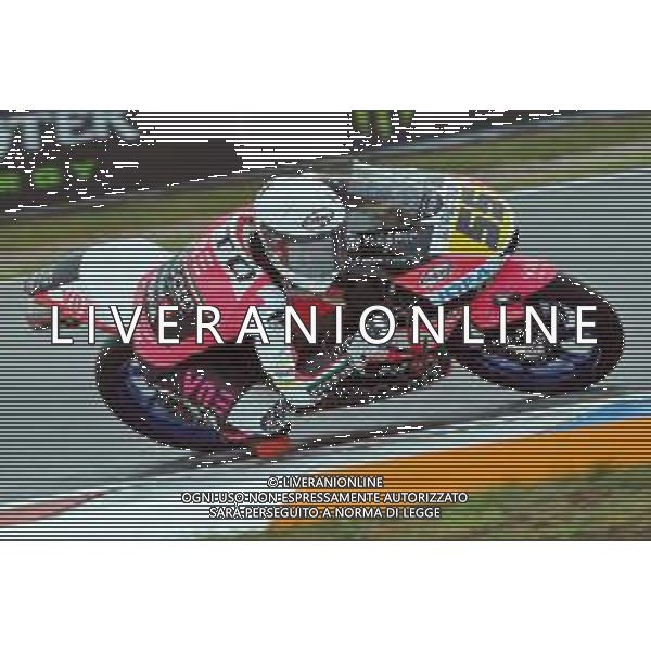 MOTOMONDIALE,PROVE LIBERE, QUALIFICHE, GP DELLA REPUBBLICA CECA, BRNO, 03-08-2019 NELLA FOTO: ROMANO FENATI ©IEMMI / AGENZIA ALDO LIVERANI SAS