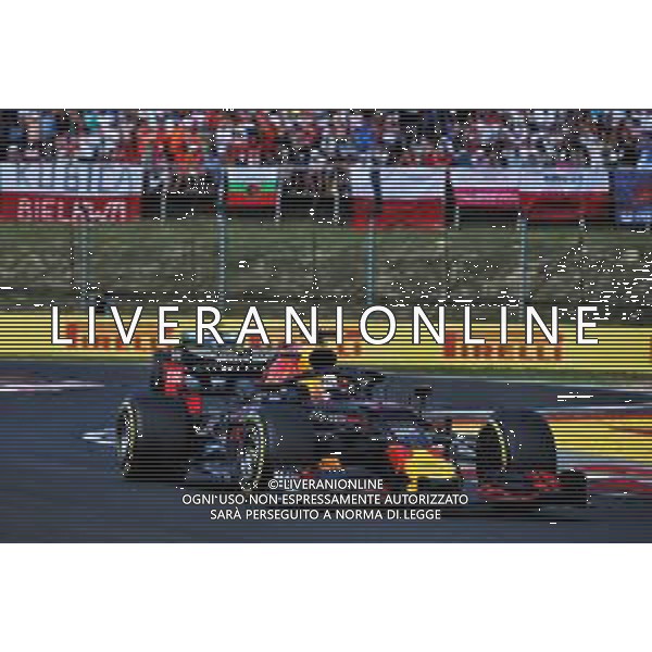Max Verstappen (NLD) Red Bull Racing RB15. 04.08.2019. Formula 1 World Championship, Rd 12, Hungarian Grand Prix, Budapest, Hungary, Race Day. AG ALDO LIVERANI SAS-ONLY ITALY