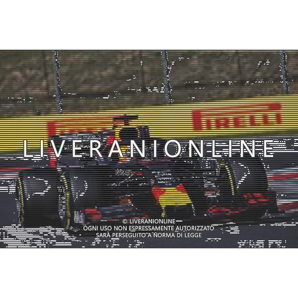 Max Verstappen (NLD) Red Bull Racing RB15. 04.08.2019. Formula 1 World Championship, Rd 12, Hungarian Grand Prix, Budapest, Hungary, Race Day. AG ALDO LIVERANI SAS-ONLY ITALY