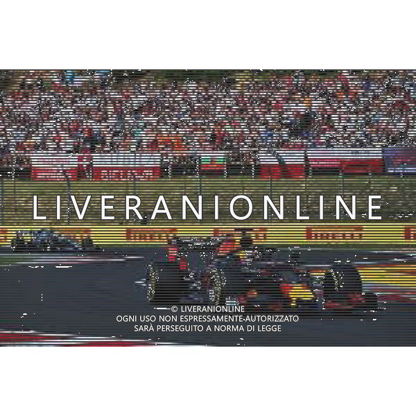 Max Verstappen (NLD) Red Bull Racing RB15. 04.08.2019. Formula 1 World Championship, Rd 12, Hungarian Grand Prix, Budapest, Hungary, Race Day. AG ALDO LIVERANI SAS-ONLY ITALY