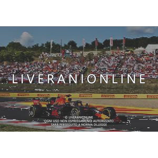 Max Verstappen (NLD) Red Bull Racing RB15. 04.08.2019. Formula 1 World Championship, Rd 12, Hungarian Grand Prix, Budapest, Hungary, Race Day. AG ALDO LIVERANI SAS-ONLY ITALY