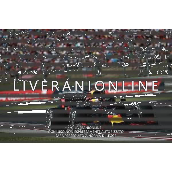 Max Verstappen (NLD) Red Bull Racing RB15. 04.08.2019. Formula 1 World Championship, Rd 12, Hungarian Grand Prix, Budapest, Hungary, Race Day. AG ALDO LIVERANI SAS-ONLY ITALY