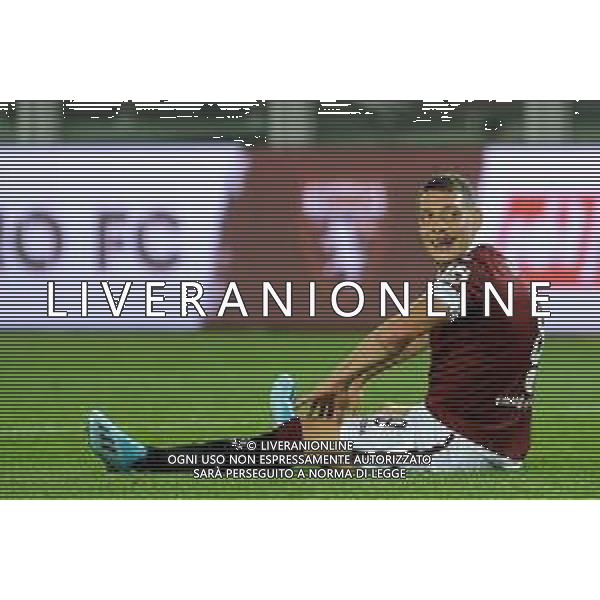 Torino 08.08.2019 Stadio Grande Torino Torino vs Shakhtyor Soligorsk terzo turno qualificazioni Europa League 2019/2020 ©Viganti/Agenzia Aldo Liverani Nella foto: andrea belotti a terra / AGENZIA ALDO LIVERANI SAS