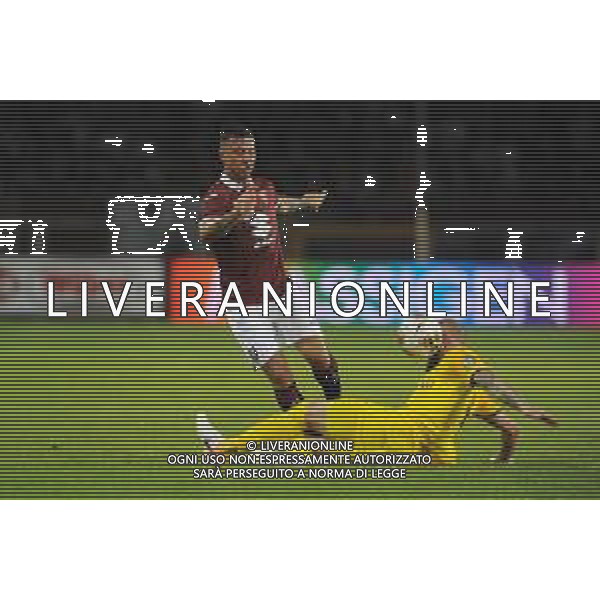 Torino 08.08.2019 Stadio Grande Torino Torino vs Shakhtyor Soligorsk terzo turno qualificazioni Europa League 2019/2020 ©Viganti/Agenzia Aldo Liverani Nella foto:armando izzo / AGENZIA ALDO LIVERANI SAS
