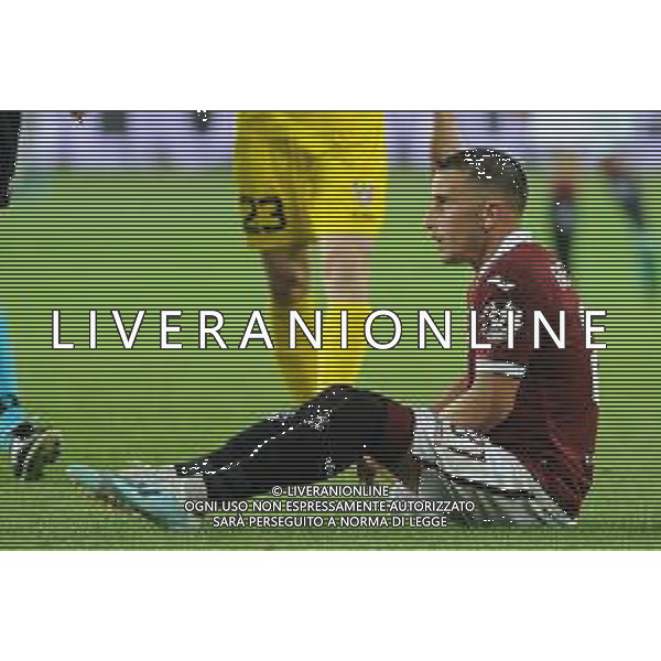 Torino 08.08.2019 Stadio Grande Torino Torino vs Shakhtyor Soligorsk terzo turno qualificazioni Europa League 2019/2020 ©Viganti/Agenzia Aldo Liverani Nella foto: alejandro berenguer a terra / AGENZIA ALDO LIVERANI SAS