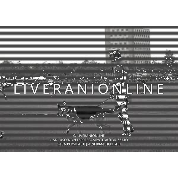 1974 CAMPIONATO DEL MONDO DI CALCIO GERMANIA 74 ALLENAMENTO NAZIONALE ITALIANA NELLA FOTO POLIZIA TEDESCA A GUARDIA DEGLI ALLENAMENTI DELLA NAZIONALE ITALIANA AG ALDO LIVERANI SAS