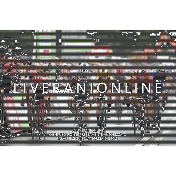12-08-2019 Binckbank Tour; Tappa 01 Beveren - Hulst; 2019, Bora - Hansgrohe; Bennett, Sam; Hulst; ©SIROTTI / AGENZIA ALDO LIVERANI SAS